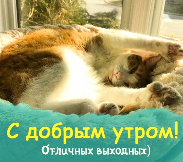 Доброе утро субботы