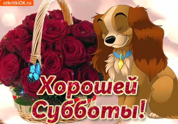 Всех хороших выходных