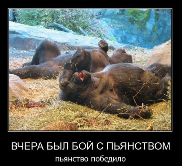 Пятничная пьянка