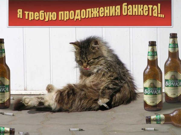 Пятница юмор алкоголь