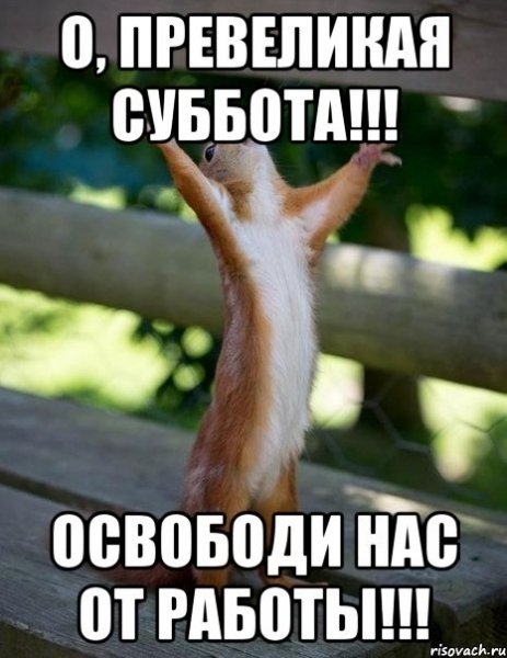Ура скоро каникулы