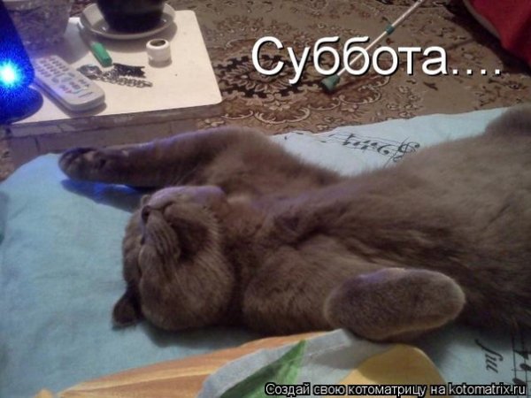 Суббота фото