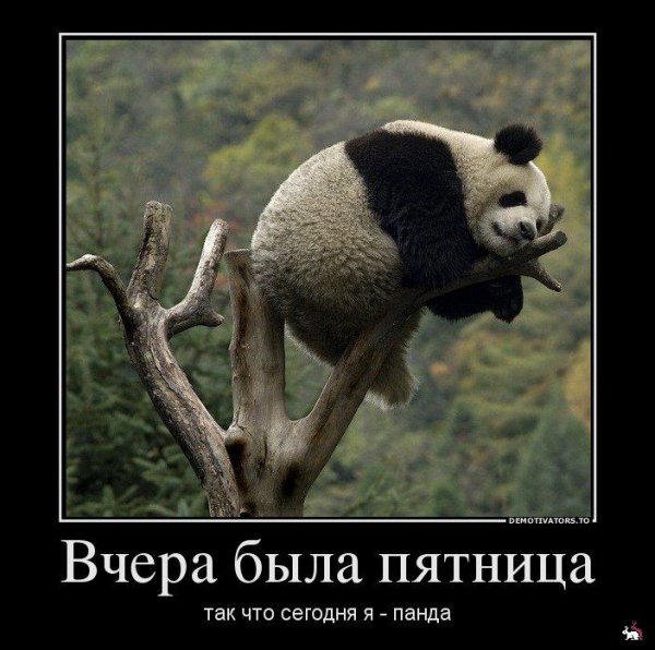 Вчера была пятница