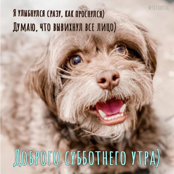 С субботой прикольные