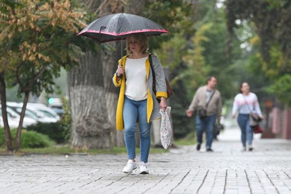 Дождь ветер цветы