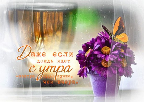 Хорошего настроения в дождливый день