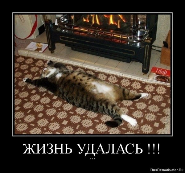 Демотиваторы про субботу прикольные