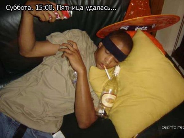 Суббота котики смешные