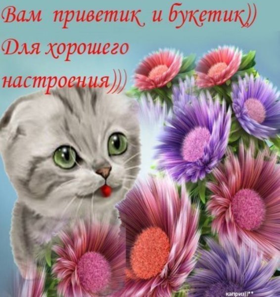 Ежик в цветах