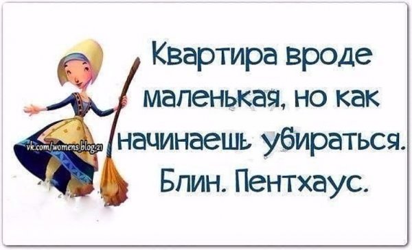 Смешные цитаты про уборку в доме