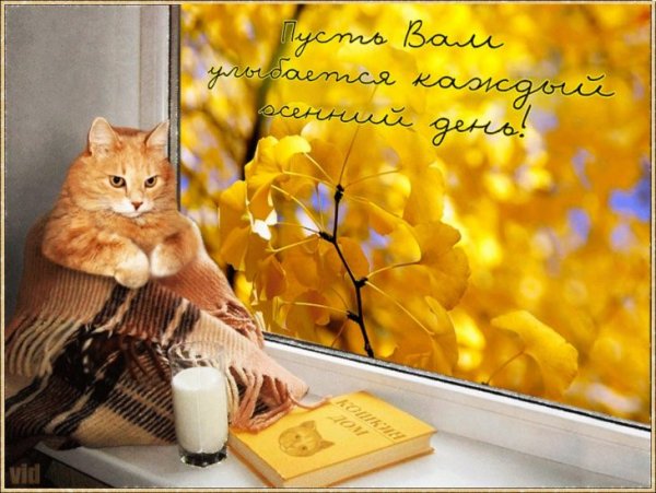Хорошей субботы