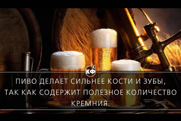 Интересные высказывания про пиво