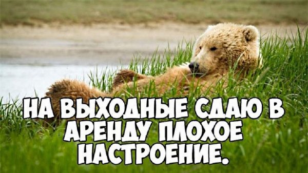Суббота приколы