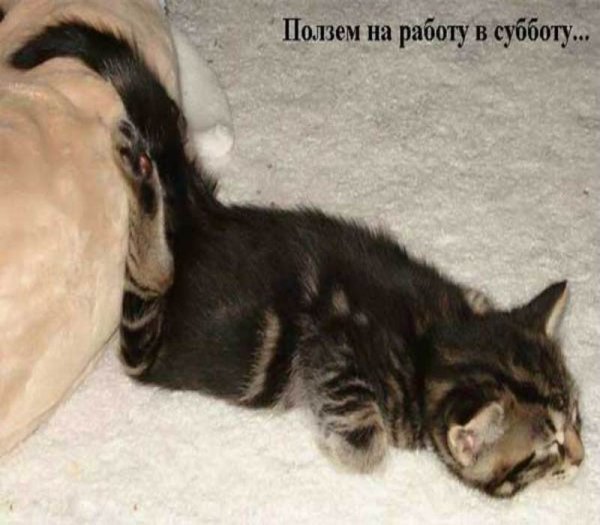 Доползли до пятницы
