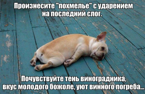 Похмелье ударение на последний