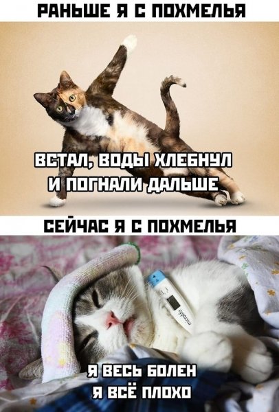 Похмелье демотиваторы