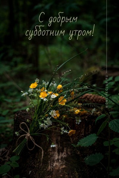 Открытки с добрым утром