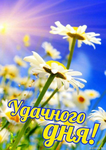 Доброе солнечное утро