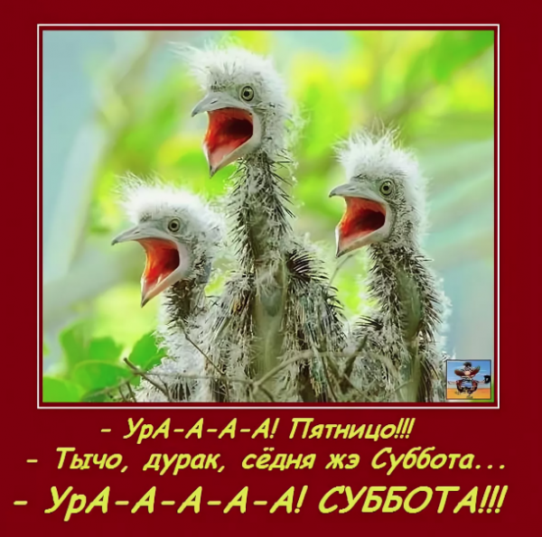 УРРАА суббота