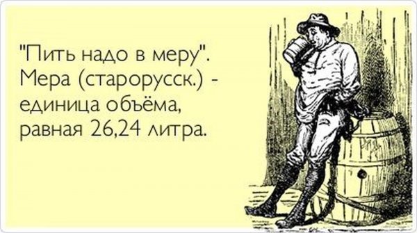 Пьяные лисы