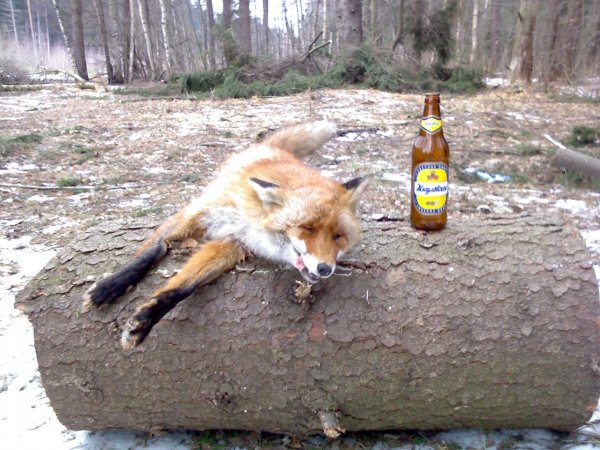 Пятница пивной день