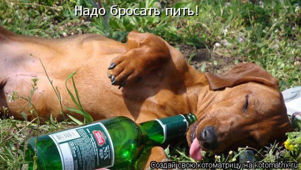 Культурно пить