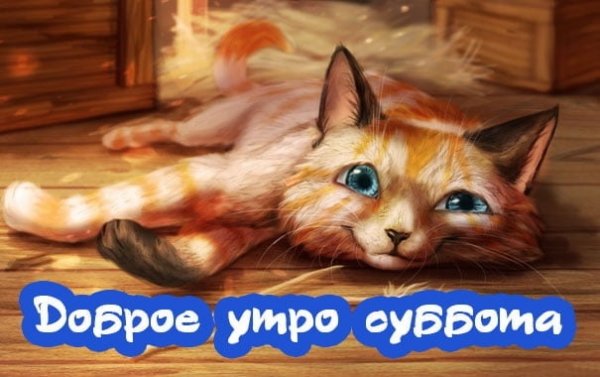 Доброе утро субботы прикольные