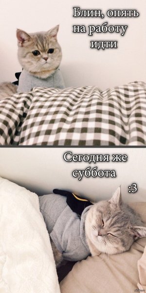 Доброе утро выходные