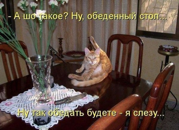 Пора обедать