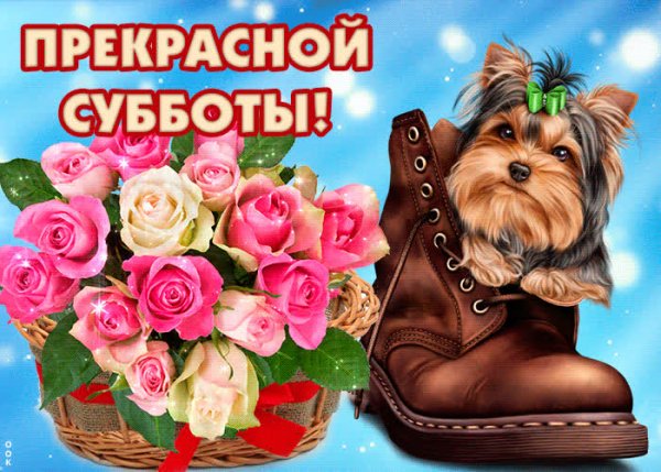 Открытки прекрасной субботы