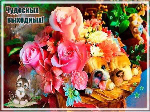 Всем чудесных выходных