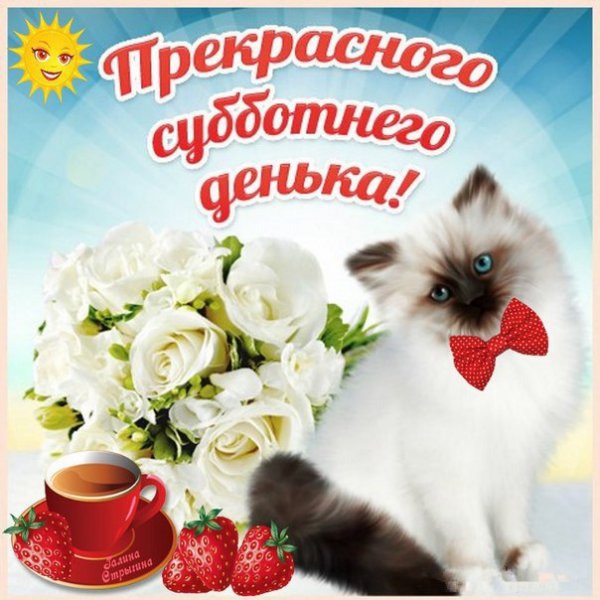 Отличной субботы