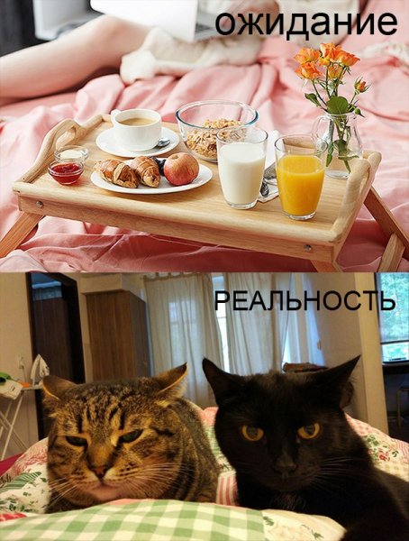 Утро бывает