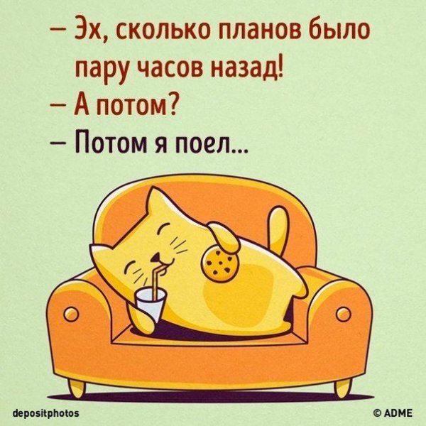 Планы на день прикольные
