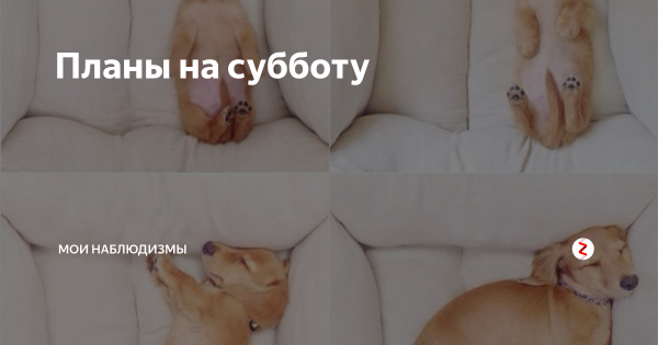 Планы на субботу