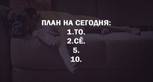 Какие планы на сегодня картинки