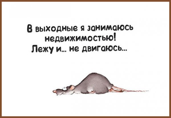 Выходные цитаты смешные