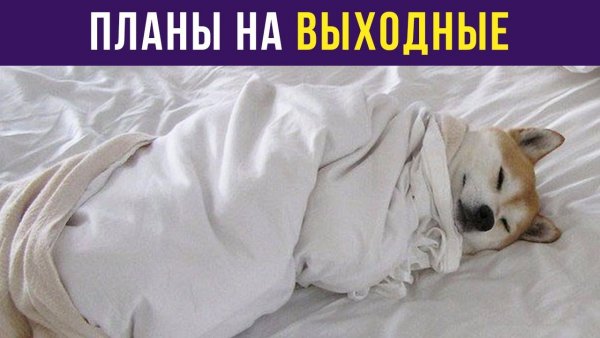 Планы на выходные