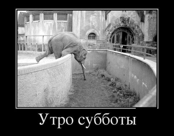 Субботние демотиваторы