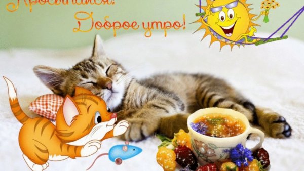 Анекдоты про субботу в картинках