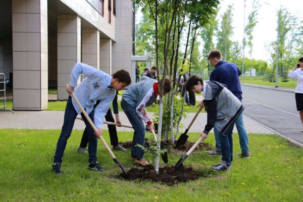 Рыбинск субботник