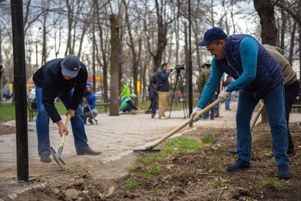 Группа субботник