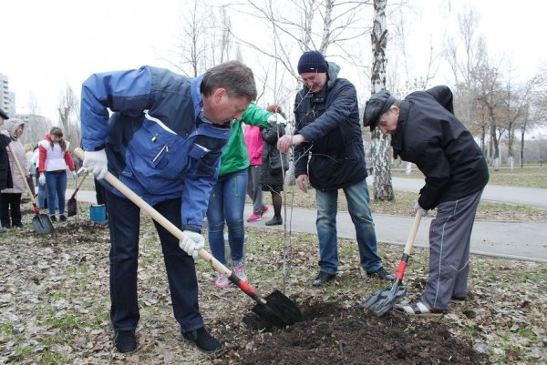 Уборка мусора в парке