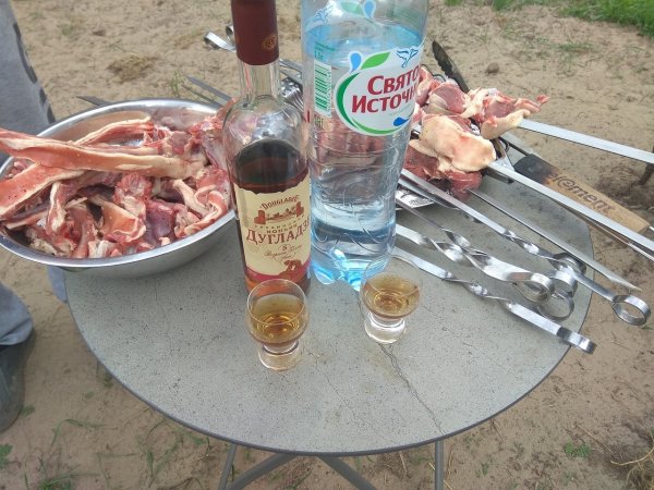 Застолье с шашлыком и водкой