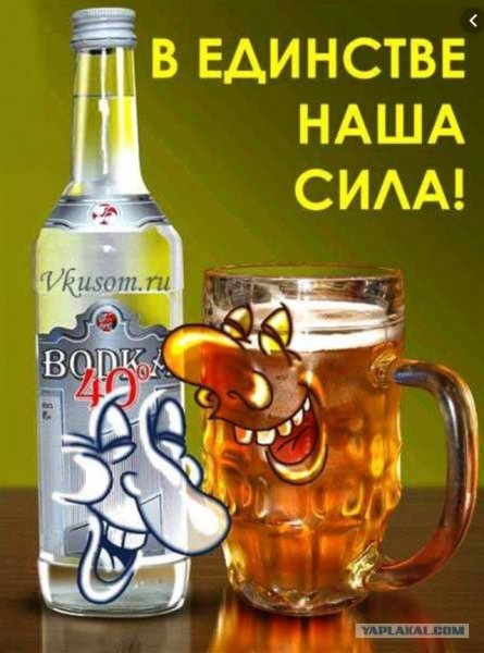 С днем народного единства прикольные