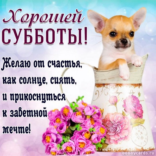 Хорошего субботнего дня и отличного настроения