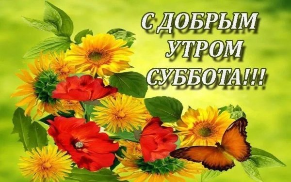 Хорошего субботнего дня
