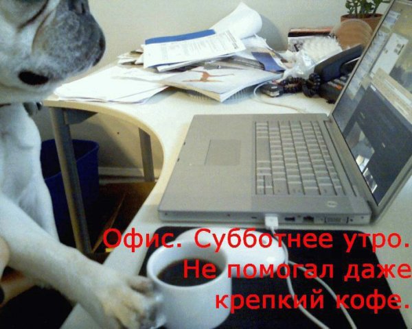 Рабочая суббота картинки смешные