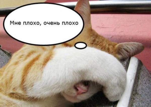 Шутки про рабочую субботу