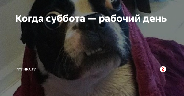 Суббота рабочий день